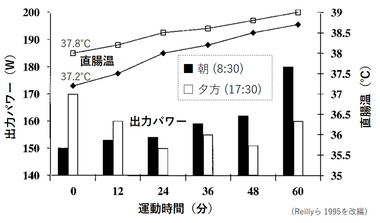 26 那覇マラソン開催迫る 朝練と朝ごはんどっちが先 スポーツおきなわ